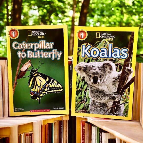 National Geograph KIDS Three Magazine+ Four Others Tigers Koalas Catterpillers - Picture 2 of 6